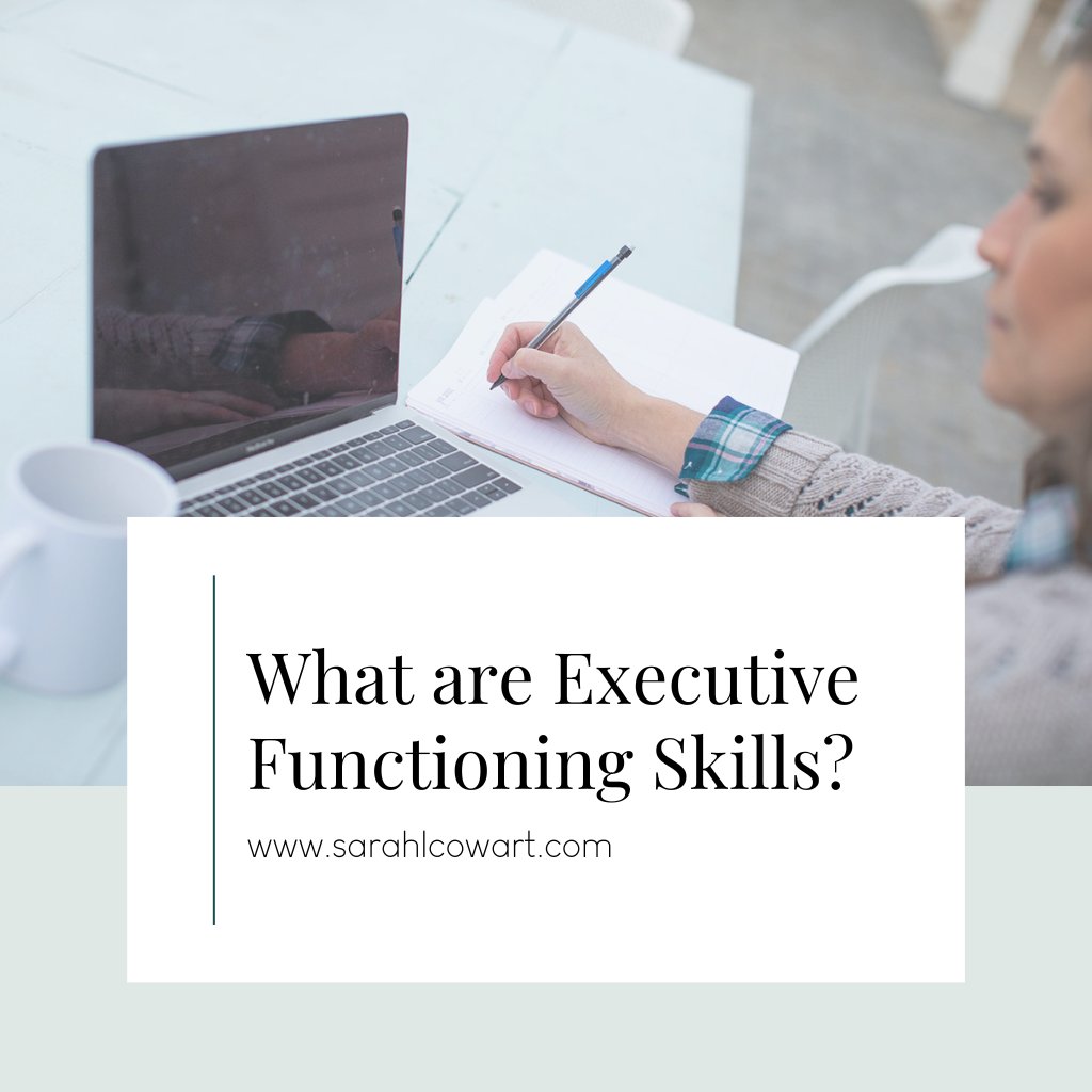Executive Functioning Skills are responsible for many abilities, such as planning, staying focused, filtering distractions, and adapting to situations.